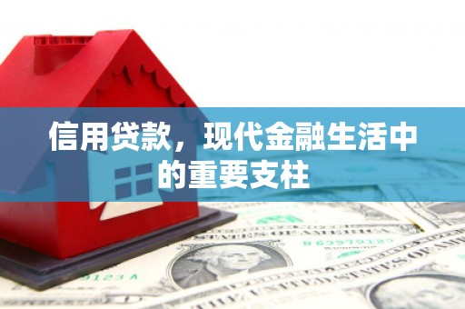 临潼信用贷款，现代金融生活中的重要支柱