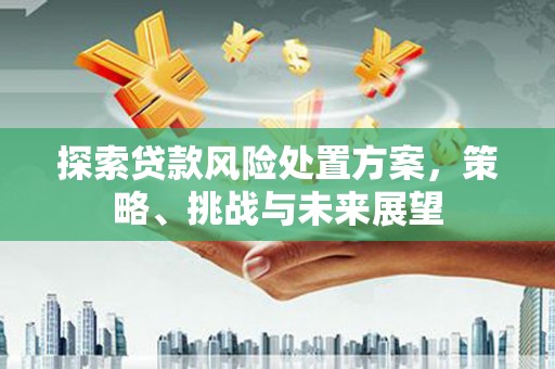 临潼探索贷款风险处置方案，策略、挑战与未来展望