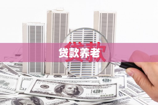 临潼贷款养老