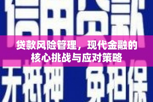 临潼贷款风险管理，现代金融的核心挑战与应对策略