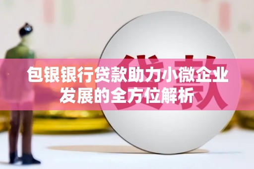 临潼包银银行贷款助力小微企业发展的全方位解析