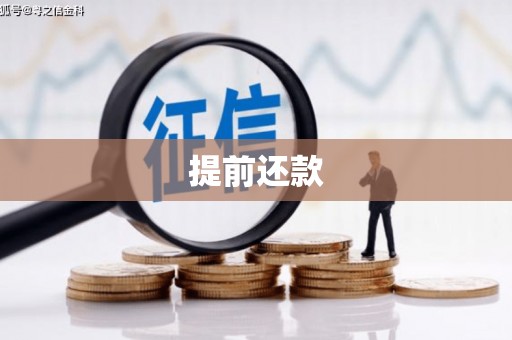 临潼提前还款