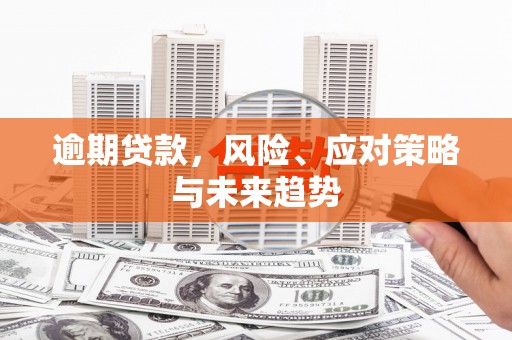 临潼逾期贷款，风险、应对策略与未来趋势