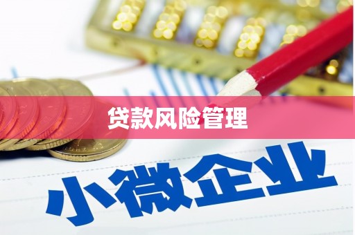 临潼贷款风险管理