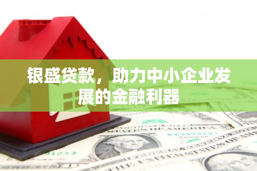 临潼银盛贷款，助力中小企业发展的金融利器