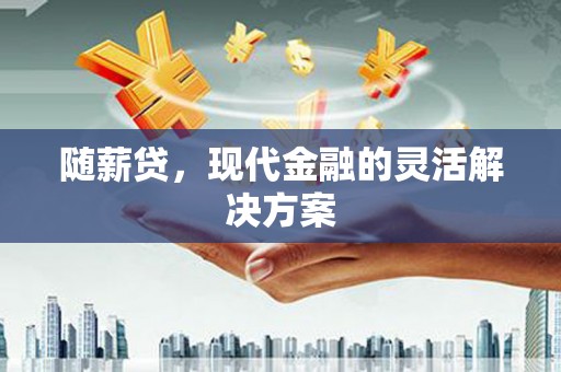 临潼随薪贷，现代金融的灵活解决方案