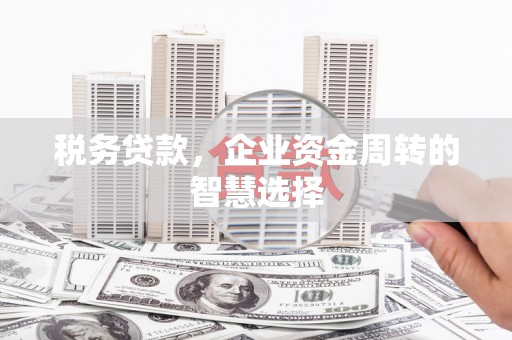 临潼税务贷款，企业资金周转的智慧选择