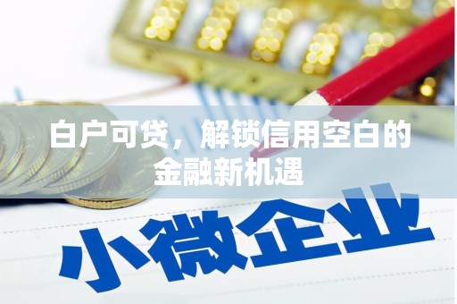 临潼白户可贷，解锁信用空白的金融新机遇