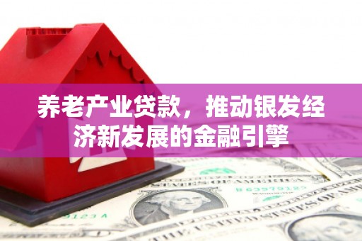临潼养老产业贷款，推动银发经济新发展的金融引擎