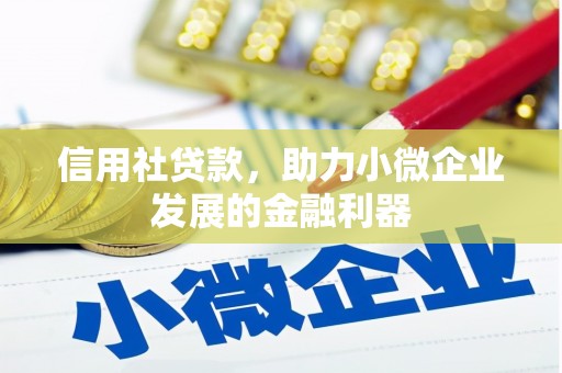 临潼信用社贷款，助力小微企业发展的金融利器