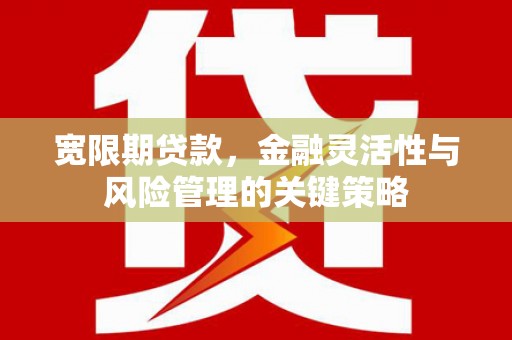 临潼宽限期贷款，金融灵活性与风险管理的关键策略
