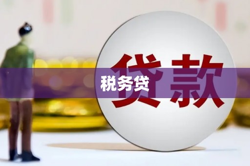 临潼税务贷