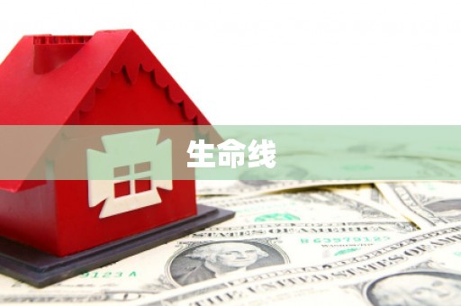 临潼生命线