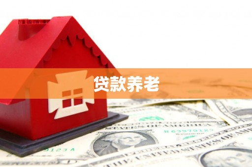 临潼贷款养老
