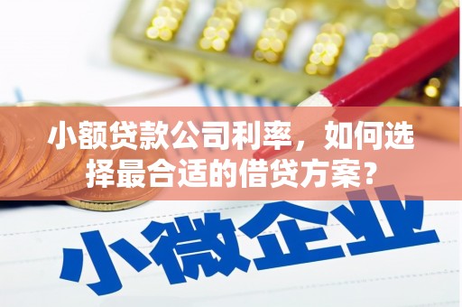 临潼小额贷款公司利率，如何选择最合适的借贷方案？