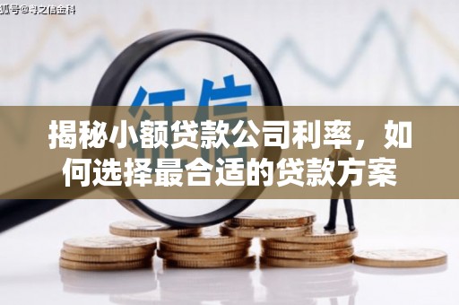 临潼揭秘小额贷款公司利率，如何选择最合适的贷款方案