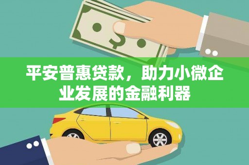 临潼平安普惠贷款，助力小微企业发展的金融利器